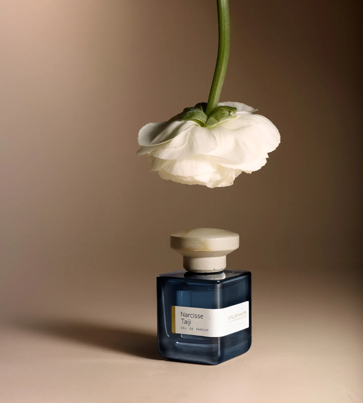 Narcisse Taiji — 2