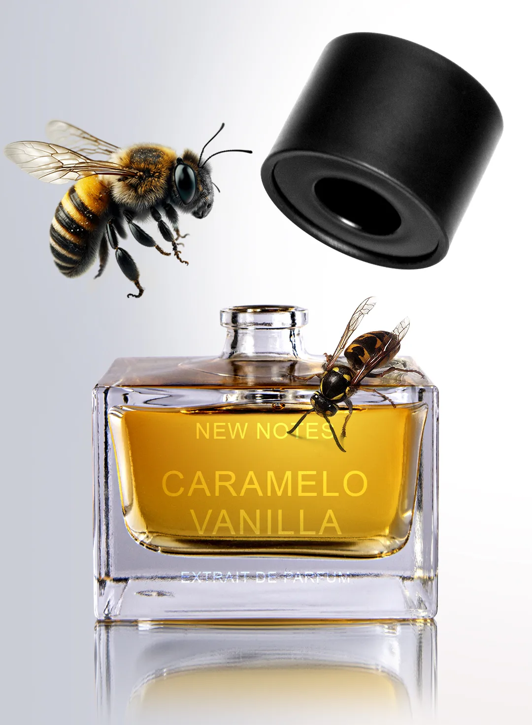 Caramelo Vanilla